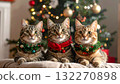 A cat decorated for Christmas A cat decorated for Christmas 132270898