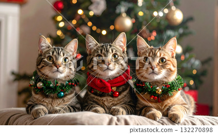 A cat decorated for Christmas 132270898