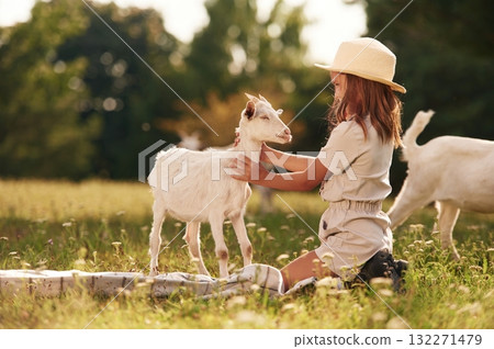 Little girl is on the field with goats 132271479