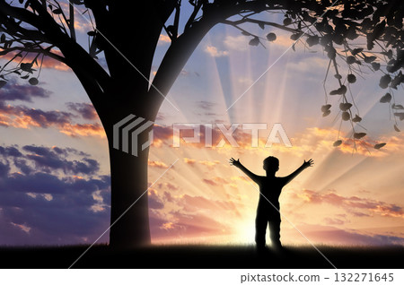 Beautiful cloudy evening sky 132271645