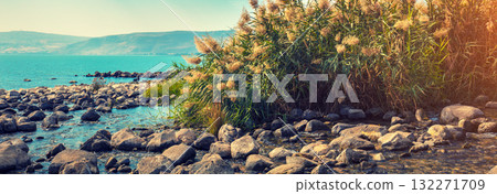 The coast of the Sea of Galilee near Ein Eyov Waterfall in Tabgha, Israel. Horizontal banner The coast of the Sea of Galilee near Ein Eyov Waterfall in Tabgha, Israel. Horizontal banner 132271709