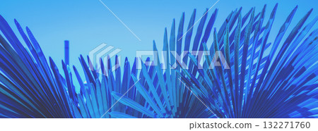 Palm leaves against the blue sky. Silhouette of tall palm leaves Palm leaves against the blue sky. Silhouette of tall palm leaves 132271760