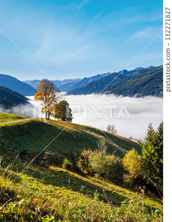 Misty autumn morning mountain and big lonely trees view from hiking path near Dorfgastein, Land Salzburg, Austria. Misty autumn morning mountain and big lonely trees view from hiking path near Dorfgastein, Land Salzburg, Austria. 132271827