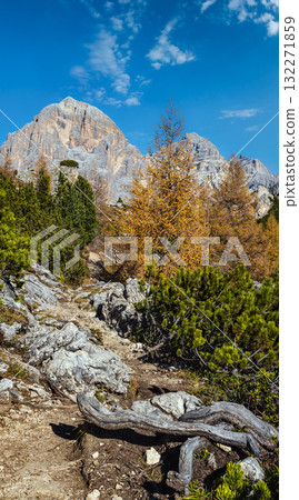 Autumn Dolomites mountain rocky view, Sudtirol, Italy Autumn Dolomites mountain rocky view, Sudtirol, Italy 132271859