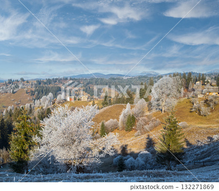 Winter coming. Picturesque moody morning scene in late autumn mountain countryside with hoarfrost on grasses, trees, slopes. Ukraine, Carpathian Mountains. Winter coming. Picturesque moody morning scene in late autumn mountain countryside with hoarfrost on grasses, trees, slopes. Ukraine, Carpathian Mountains. 132271869