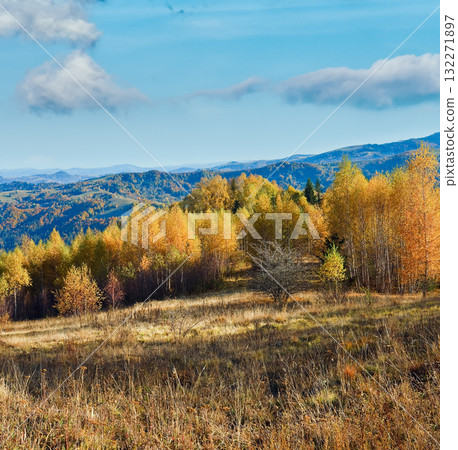 Autumn mountain forest 132271897