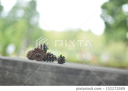 Lost items from the forest Lost items from the forest 132272089