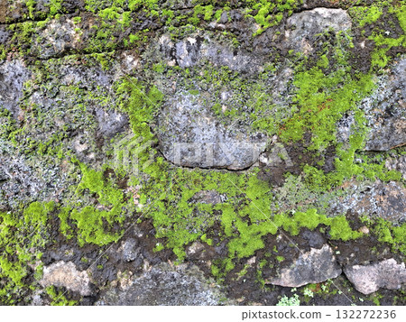 Green moss stone texture background. Ecology and environment concept. Green moss stone texture background. Ecology and environment concept. 132272236