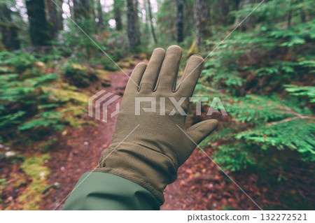 Hand wearing brown hiking glove raised on forest path, surrounded by lush green foliage and moss, creating sense of adventure and exploration in nature Hand wearing brown hiking glove raised on forest path, surrounded by lush green foliage and moss, creating sense of adventure and exploration in nature 132272521