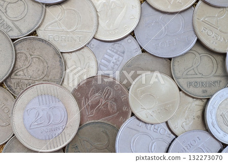 Many Hungarian forint coins in big pile close up. Forint is a Hungarian currency instead euro Many Hungarian forint coins in big pile close up. Forint is a Hungarian currency instead euro 132273070