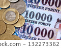 Large amount of Hungarian Forint currency money bills and coins. HUF currency banknotes and coins close up 132273362