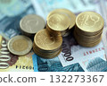 Large amount of Hungarian Forint currency money bills and coins. HUF currency banknotes and coins close up 132273367