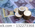 Big amount of Hungarian Forint currency money bills and coins. HUF currency banknotes and coins close up 132273368