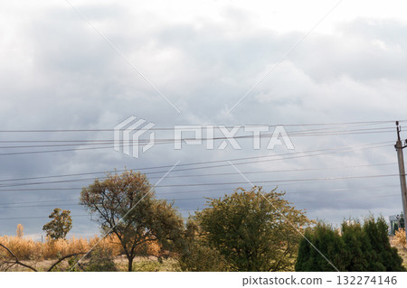 Overcast Sky and Trees with Power Lines: Dramatic Rural Landscape, Gray Clouds, Autumn Foliage, Textured Field, Natural Environment Photography. Overcast Sky and Trees with Power Lines: Dramatic Rural Landscape, Gray Clouds, Autumn Foliage, Textured Field, Natural Environment Photography. 132274146