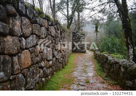 Cobblestone pathway meanders between ancient stone walls in forest. Overcast day, muted light, green moss on rocks enhances natural ambiance. Neural network AI generated Cobblestone pathway meanders between ancient stone walls in forest. Overcast day, muted light, green moss on rocks enhances natural ambiance. Neural network AI generated 132274431