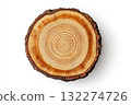 Cross section of tree trunk with visible growth rings. Isolated on white. Rich brown tones. Neural network AI generated 132274726