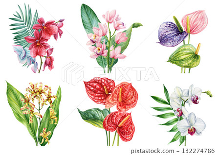 Tropical Flower Set Orchid Anthurium Exotic Botanical Collection Colorful Floral Illustration with Leaves on White Background 132274786
