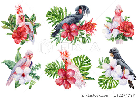 Tropical birds set. Watercolor Cockatoo with Red Flowers and Green palm Leaves Exotic Parrot Botanical Illustration Jungle Tropical birds set. Watercolor Cockatoo with Red Flowers and Green palm Leaves Exotic Parrot Botanical Illustration Jungle 132274787