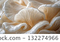 Closeup of a mushroom resembling a flower, an organism in natural landscapes 132274966