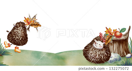 Funny long-eared hedgehog curled up in a ball,quietly dozing In a clearing near an old stump with another hedgehog in rubber boots and an autumn bouquet in seamless border 132275072