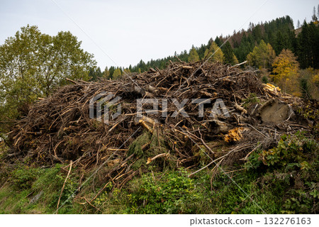 Large pile of dry branches and tree roots after forest clearing in mountain area Large pile of dry branches and tree roots after forest clearing in mountain area 132276163