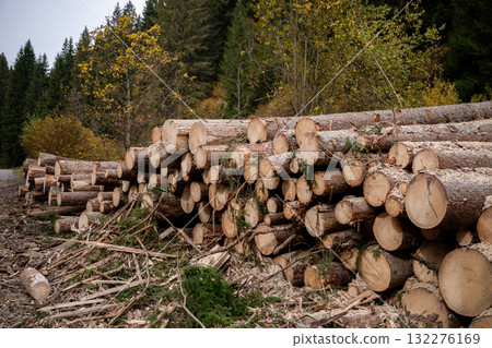 Deforestation and logging debris with fallen trees and branches in mountain forest area 132276169