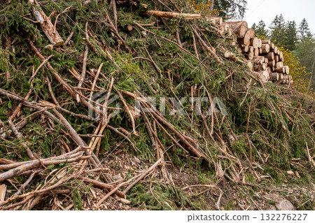 Deforestation and logging debris with fallen trees and branches in mountain forest area 132276227