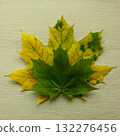 Square stock image of two variety size and colors fallen maple leaves on oak wood texture 132276456