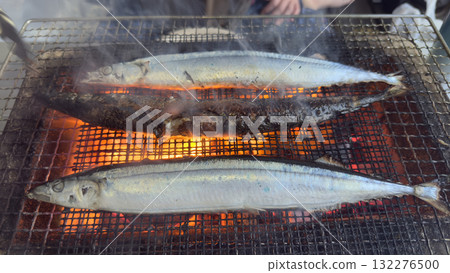 Charcoal grilled saury 132276500