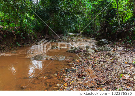 A muddy, shallow stream winds through a dense forest, bordered by rocks A muddy, shallow stream winds through a dense forest, bordered by rocks 132276580