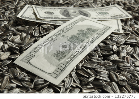 Dollars banknotes and sunflower seeds, oleaginous Commodity value concept. 132276773