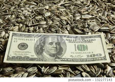 Dollars banknotes and sunflower seeds, oleaginous Commodity value concept. 132277143