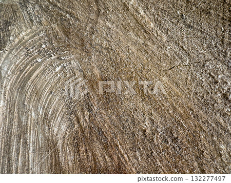 Cut tree trunk background. Timber texture closeup. Cut tree trunk background. Timber texture closeup. 132277497