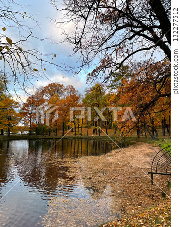 Serene autumn scene with a lake surrounded by trees with vibrant fall foliage and fallen leaves on the ground and water. Gatchina Palace park. Serene autumn scene with a lake surrounded by trees with vibrant fall foliage and fallen leaves on the ground and water. Gatchina Palace park. 132277512
