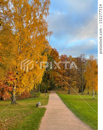 Tranquil autumn walk through a park with golden trees and a winding path, creating a serene and picturesque atmosphere. Gatchina Palace park. Seasonal vertical photo. Tranquil autumn walk through a park with golden trees and a winding path, creating a serene and picturesque atmosphere. Gatchina Palace park. Seasonal vertical photo. 132277514