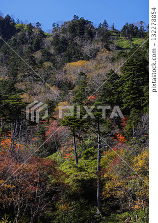 Autumn at Kinsei Pass, Nikko City, Tochigi Prefecture 132278854