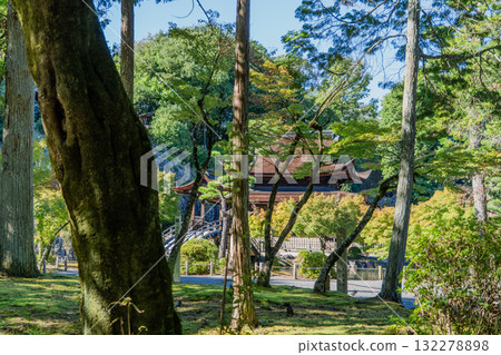 光景山永寶寺院內的景色 132278898