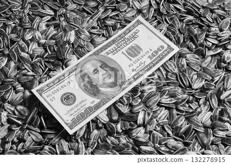 Dollars banknotes and sunflower seeds, oleaginous Commodity value concept. 132278915