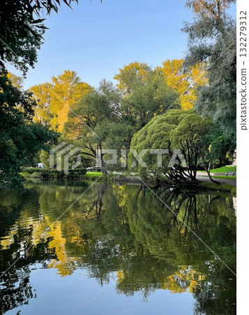 Pond surrounded by greenery in a city park. Reflection of trees and in still water surface. Autumn sunny day. 132279312