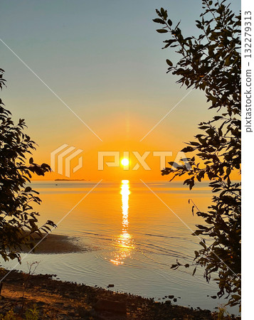 View of sunset over the sea through the tree branches. The sun sets on the water. The sky is painted with bright colors. Sunset beach in summer evening. Vertical photography. 132279313