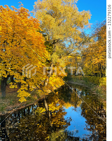 Serene pond reflects golden autumn foliage, surrounded by tall trees in vibrant colors. Peaceful natural scene. Seasonal nature background. Park in sunny fall day. Serene pond reflects golden autumn foliage, surrounded by tall trees in vibrant colors. Peaceful natural scene. Seasonal nature background. Park in sunny fall day. 132279316
