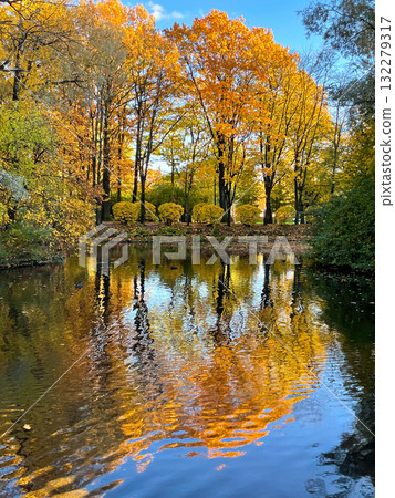 Serene pond reflects golden autumn foliage, surrounded by tall trees in vibrant colors. Peaceful natural scene. Seasonal nature background. Park in sunny fall day. Serene pond reflects golden autumn foliage, surrounded by tall trees in vibrant colors. Peaceful natural scene. Seasonal nature background. Park in sunny fall day. 132279317