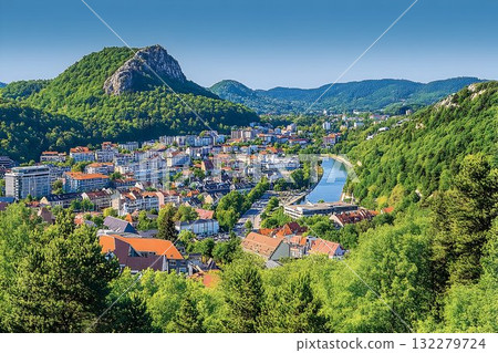Overlooking T?bingen: A vibrant cityscape nestled amidst lush gr 132279724