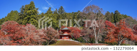 藍天白雲下,秋葉滿山,寺塔全景 藍天白雲下,秋葉滿山,寺塔全景 132279864