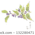 Watercolor illustration of an autumn plant, Nandina bush clover, which blooms purple flowers similar to bush clover 132280471