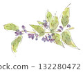 Watercolor illustration of an autumn plant, Nandina bush clover, which blooms purple flowers similar to bush clover 132280472