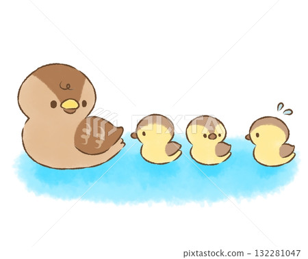 Duck parent and child Duck parent and child 132281047