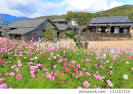[香川縣]晴空二十四眼電影村（小豆島） 132281558