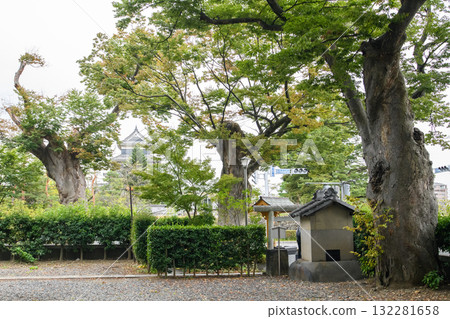 Matsumoto Shrine, Giant Zelkova Trees and Matsumoto Castle, Nagano Prefecture 132281658