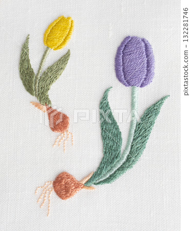 Tulips with bulbs Tulips with bulbs 132281746